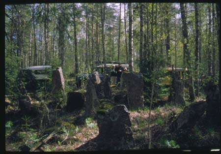 &copy;Roger Sittnikow 2000